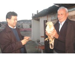 Otomobiliyle Çarptığı Doğanı Tedavi Ettirdi