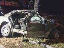 Hızla Ağaca Çarpan Araçtaki Şahıs Öldü