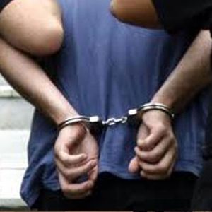 Operasyonda 12 Tutuklama