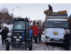 Besicilere, İthal Ot Dağıtımına Başlandı!