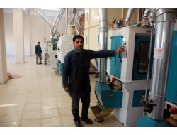 5 Milyon Dolara Kurulan Fabrikada El Değmenden Bulgur Üretiliyor