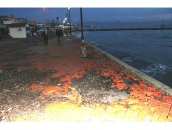 Dev Dalgalar Kaldırım Taşlarını Söktü