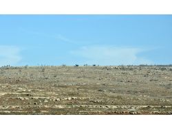 Midyat’ta 6 Terörist Etkisiz Hale Getirildi