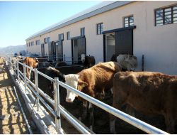 Yozgat Tkdk, 12 Üreticiye 7 Milyon Tl Hibe Desteği Ödedi