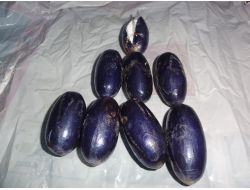 Röntgenle Bulunamayan Kokaini İtiraf Etti