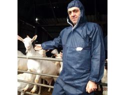 Koyun Keçi Birliği Başkanı Akın: Yetiştiriciler Kendi Yemlerini Üretmeli