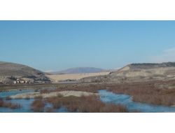 Batman Çayı'nda Yem Arayan Kuşlar, Renkli Görüntüler Oluşturuyor