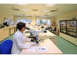 Genetik Geçişli Hastalıklara Hacettepe'nin Laboratuvarında Tanı Konulacak