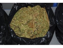 Silifke'de Operasyon