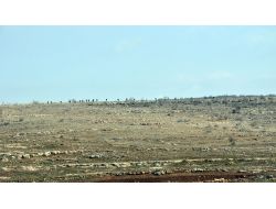 Midyat’ta operasyonlar sona erdi!