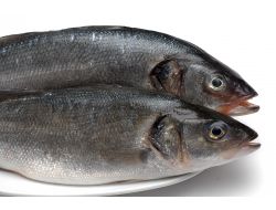 ‘türk Balıkları Güvenilir Oldukları İçin Dünyanın Tercihi’