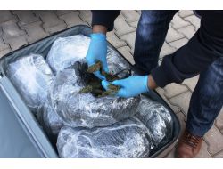 Kızıltepe'de Uyuşturucu Operasyonu