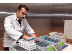 Kablosuz İnternet, Sara Hastasının Hastalığını Artırıyor