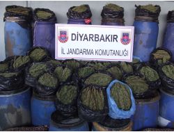 Diyarbakır’da 269 Kilo Esrar Ele Geçirildi
