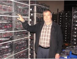 Türkiye'nin Meyveleri, Çivril'deki Soğuk Hava Depolarında Korunuyor