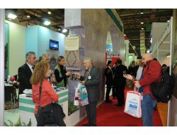 Tarsus, Emıtt'te Tanıtılıyor