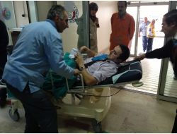 Tartıştıkları Öğretmenin Üzerine Pitbull Cinsi Köpeği Saldılar