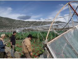 Hortum, Demre'de Seraları Yıktı