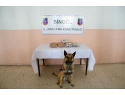 Bingöl'de 9 Kilo Esrar Ele Geçirildi
