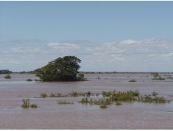Mozambik'te Sel Türk Çiftçiyi De Vurdu: Halk Ot Ve Böcek Yiyor (Özel)