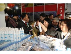 Van Gölü Suyuna Bayanlardan Yoğun İlgi