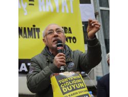 Tonyalılardan Çimento Fabrikasına Karşı İnekli Eylem