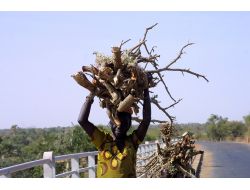 Cihan, Stratejik Baninda Köprüsünü Görüntüledi