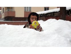 Bitlis’te Kar Yağışı Yeniden Etkili Oluyor