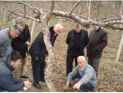 Gimder'den Kivi Eğitimi