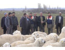 Bor'da Çalışan Koyunlar 24 Saat Geçmeden Bulundu