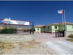 Kırşehir Belediyesi Sokak Hayvanlarına Sahip Çıkıyor