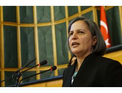 Kışanak: Chp'li Vekil Irkçılık Hastalığından Kurtulmak İçin Yardım İstemeli