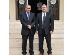 Erçin Gitti, Dallı Geldi