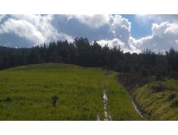 Patlamayan 2 Havan Mermisi Bulundu