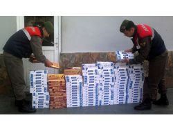 Alanya'da Gümrük Kaçağı Sigaraya Geçit Yok