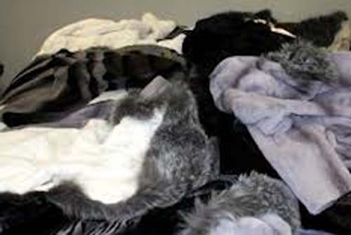 Otobüsten gümrük kaçağı servet çıktı