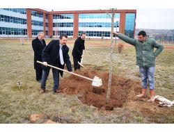 Makü'de Her Fakülte Önüne İki Çınar Fidanı Dikildi