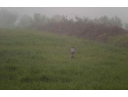 Toprağa Saplı Kalan Mermilerde Kimyasal Şüphesi