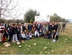 Çocuklar 'Çocuk Hakları Hatıra Ormanı'na Fidan Dikti