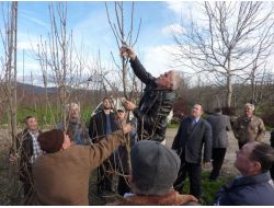 Gürsu'da Çiftçilere Meyvecilik Kursu