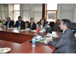 TARSUS'TA KEKLİK AVI YASAKLANDI