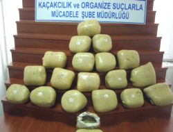 Kocaeli'nde 20 Kilogram Toz Esrar Ele Geçirildi!