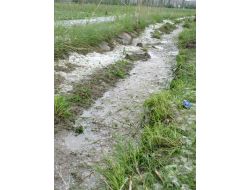 "Bir Şey Olmaz Demeyin Sigortanızı İhmal Etmeyin"