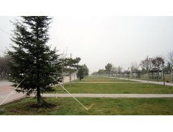 Konya'da Kişi Başına Düşen Yeşil Alan 48 Metrekareye Çıktı