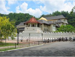 Thy'nin Kolombo Seferleri Başladı