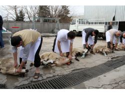 Bakansız Geçen 11 Yıl İçin 11 Kurban Kestiler