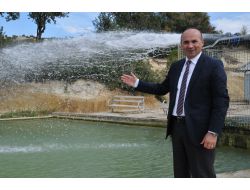 Uşak Belediye Başkanı Erdoğan: Sağlık Turizminde Ciddi Rekabet Edeceğiz