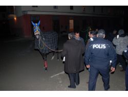 HİPODROMA 'ŞAFAK' OPERASYONU