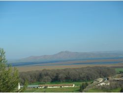 Gavur Gölü'nde Kuş Sayımı Yapıldı