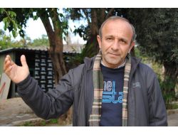 Çakmak: Tarım Arazilerinin Korunması İçin Kat Çıkımında Sınırlama Kaldırılmalı